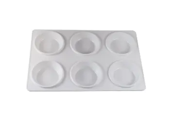PLASTIC PALETTE 6-WELL TRAY/SIZE 0 BLOCKS