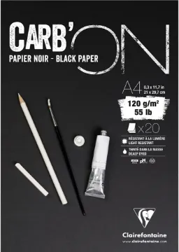 Clairefontaine Carb'On 975039C Drawing Pad 120 g Ideal for Dry Techniques DIN A4 21 x 29.7