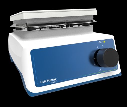 ST110900.jpg