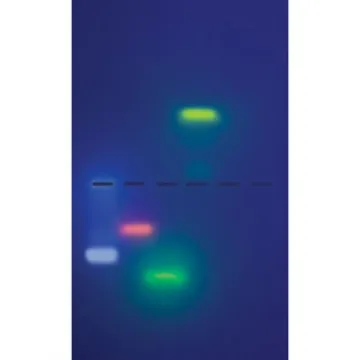 The Secret of the Invisible DNA: A  Genetics Exploration