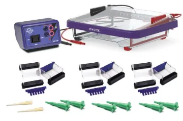 DNA Electrophoresis Equipment Kit