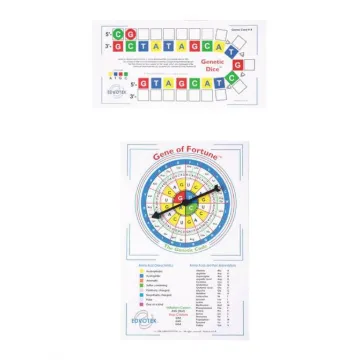 Molecular Biology, Classroom Game
