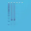 BI130975.jpg
