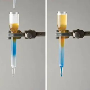 Principles of Gel Filtration Chromatography Kit