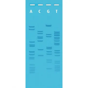 Ready-To-Load DNA Sequencing