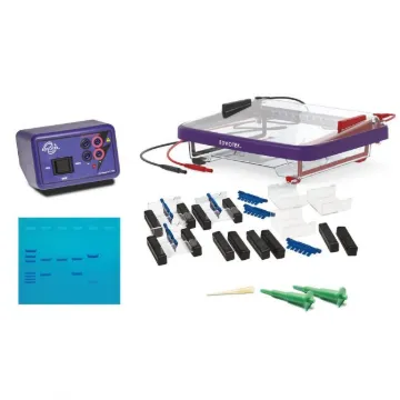 Classroom DNA Electrophoresis LabStation™