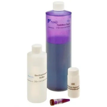 Electrophoresis Reagent Package W/Flashblue™ Stain