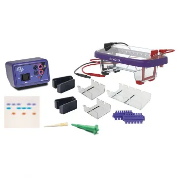 Demonstration DNA Electrophoresis Labstation™