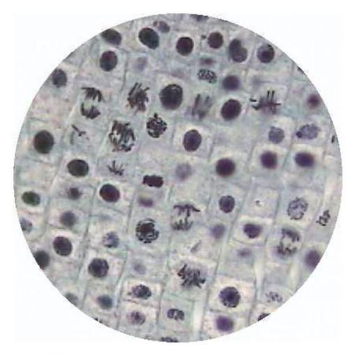 PM95214.jpg