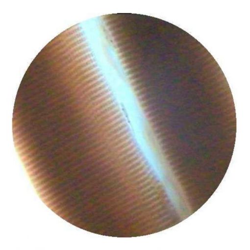 PM99460.jpg