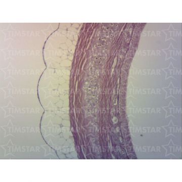 PM86670.jpg