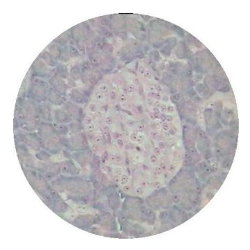 PM86750.jpg