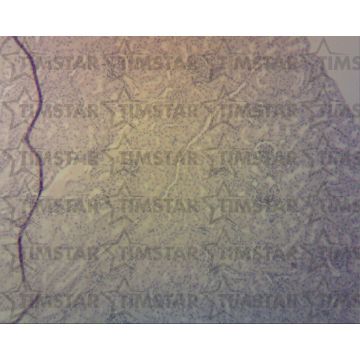 PM86765.jpg