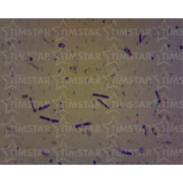 PM86920.jpg