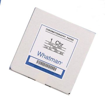 CH04120.jpg