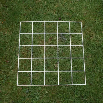 Quadrat, 25 Squares