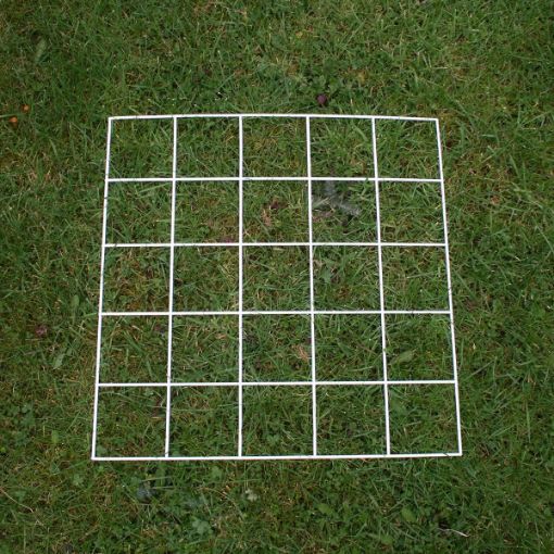 EN71655.jpg