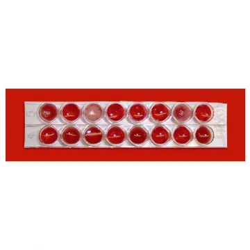 Blood Typing Kit
