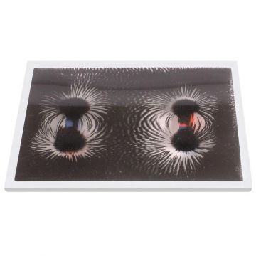 MA10187.jpg