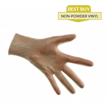 Vinyl Gloves, Disposable, Powder Free, Large