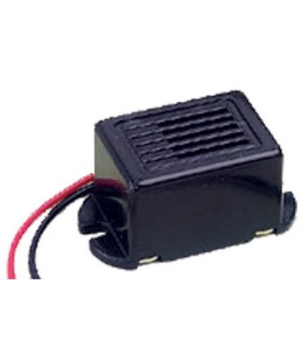 250-970.jpg