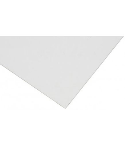 490-348.jpg