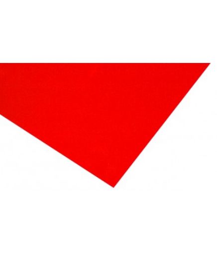490-351.jpg