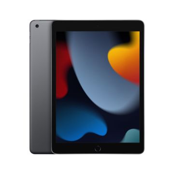 10.2-inch iPad Wi-Fi 256GB - Space Grey - MK2N3AB/A