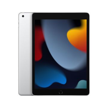 10.2-inch iPad Wi-Fi 256GB - Silver - MK2P3AB/A