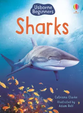 Sharks (Usborne Beginners)