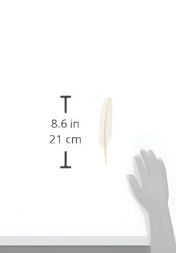 3188552233019-01.jpg