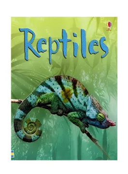 Reptiles - Usborne Beginners