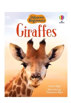 Giraffes (Beginners)