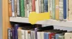 rounded_shelf_markers-1-en_GB.jpg