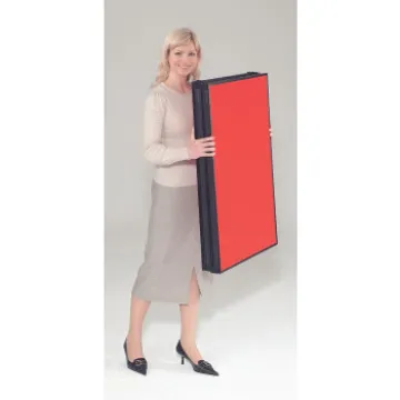 Busyfold Light Kit - 6 Panel + header - grey frame