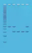 BI130930-1-en_GB.jpg