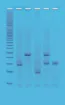 BT97920-1-en_GB.jpg