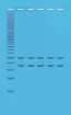 BI130925-1-en_GB.jpg