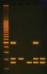 BT140730-1-en_GB.jpg