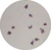 PM86000-2-en_GB.jpg