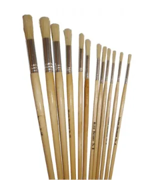 Artist Paint Brushes Large Assorted Set of 12