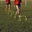 Central_Agility_Hurdles-2-en_GB.jpg