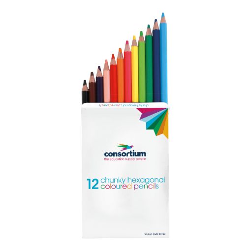 All Prints Consortium Chunky Hexagonal Colouring Pencils Assorted 36pk