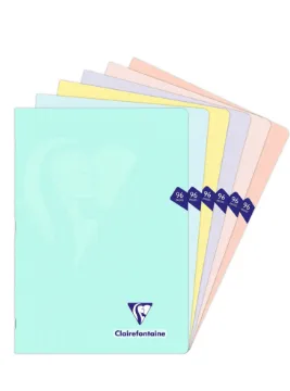 Clairefontaine- Mimesys Pastel Stapled Notebook (96 Pages) - A4 Assorted colors