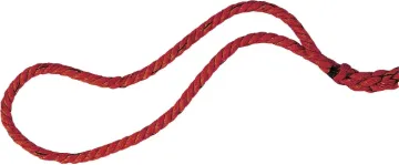 003341.jpg