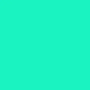 006126.jpg
