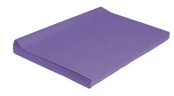 006204.jpg