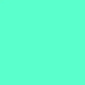 006285.jpg