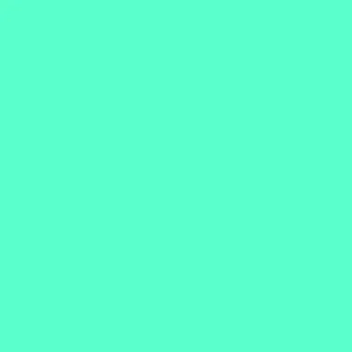 006543.jpg