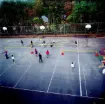 009436.jpg